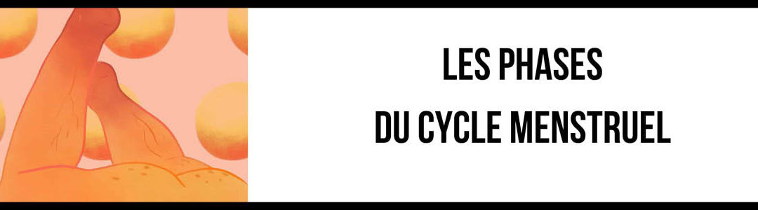 Les différentes phases du cycle menstruel
