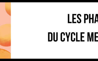 Les différentes phases du cycle menstruel