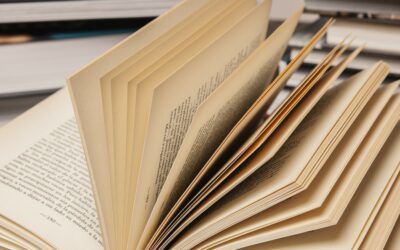 Dictionnaire des protections périodiques lavables